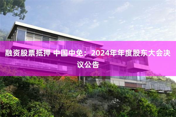 融资股票抵押 中国中免：2024年年度股东大会决议公告
