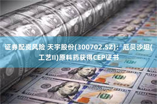 证券配资风险 天宇股份(300702.SZ)：厄贝沙坦(工艺