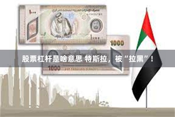 股票杠杆是啥意思 特斯拉，被“拉黑”！